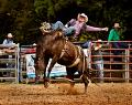 793 - ROUGH RIDE - WATSON GRAEME - australia